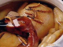 全面认识冬虫夏草的主要功效 冬虫夏草有什么功效