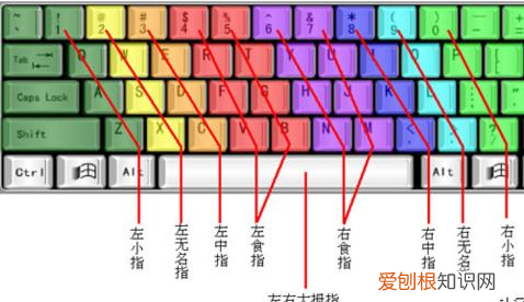 电脑基础知识新手入门最全电脑知识干货 电脑初学者