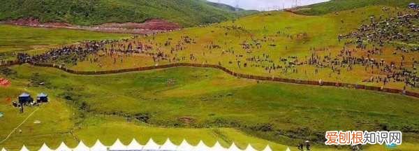 谷克德在哪里,昭觉谷克德湿地公园能钓鱼