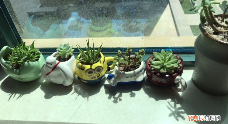 4个擦玻璃的小妙招 擦玻璃妙招