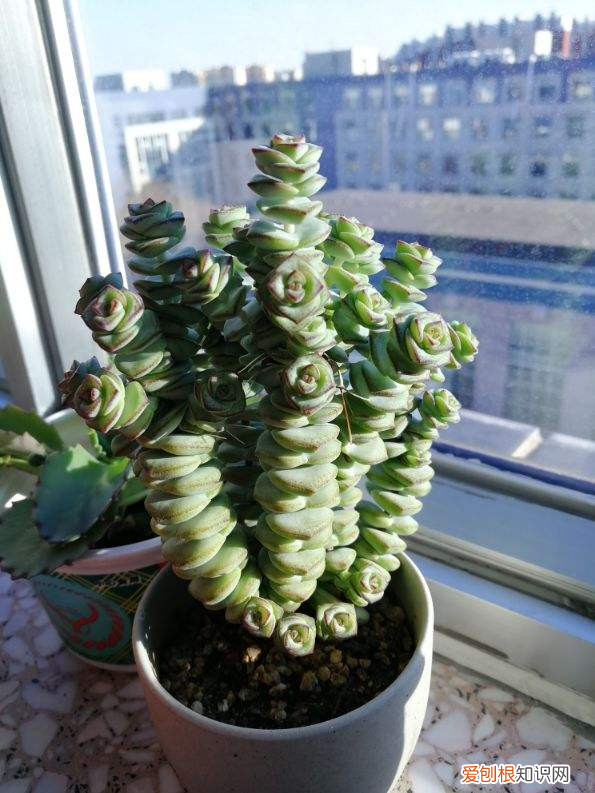 4个擦玻璃的小妙招 擦玻璃妙招