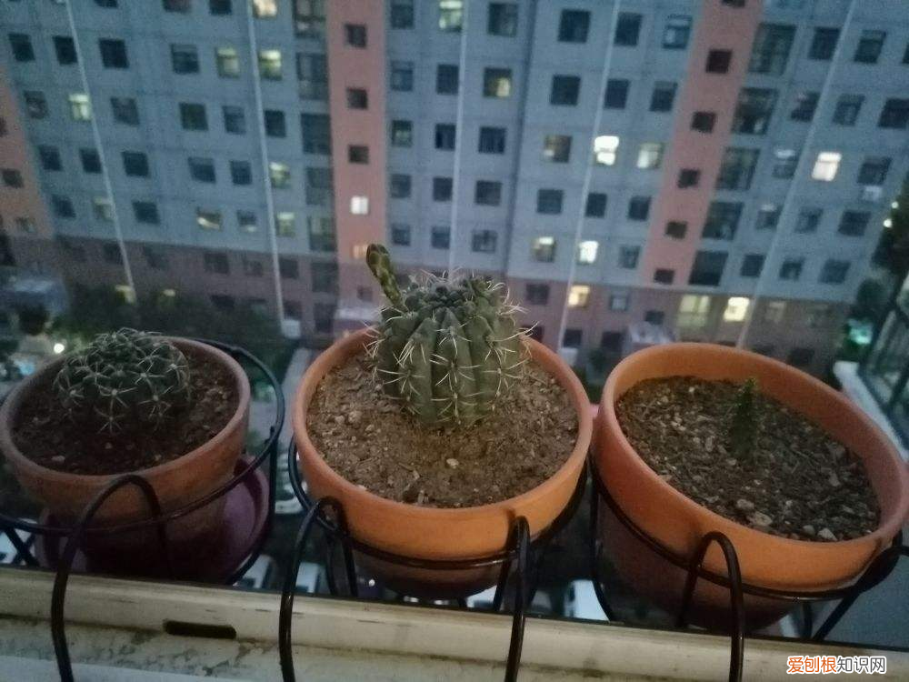 4个擦玻璃的小妙招 擦玻璃妙招