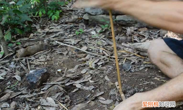 野外取火的方式有哪些