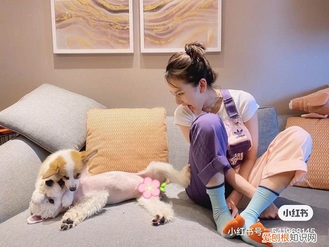 内衣新品牌霸榜双11 女士内衣品牌盘点