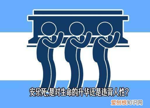安乐死合法好不好？ 安乐死的好处