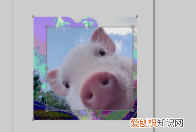 cdr中怎么裁剪，cdr中怎么剪裁图片