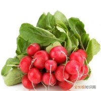 简单好喝的萝卜汤怎么做，萝卜汤怎么做好吃又简单