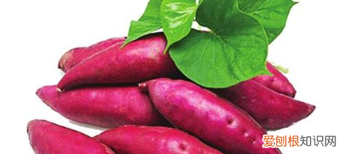 番薯是什么?红薯和番薯怎么区分呢