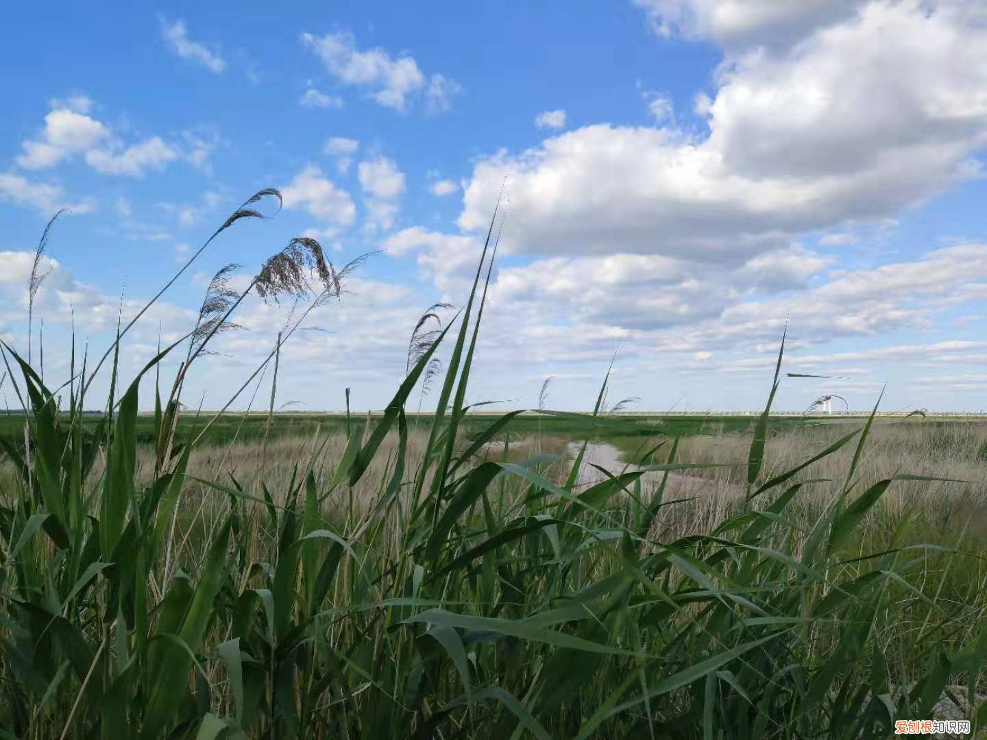大庆旅游景点都有哪些 ？ 大庆景点