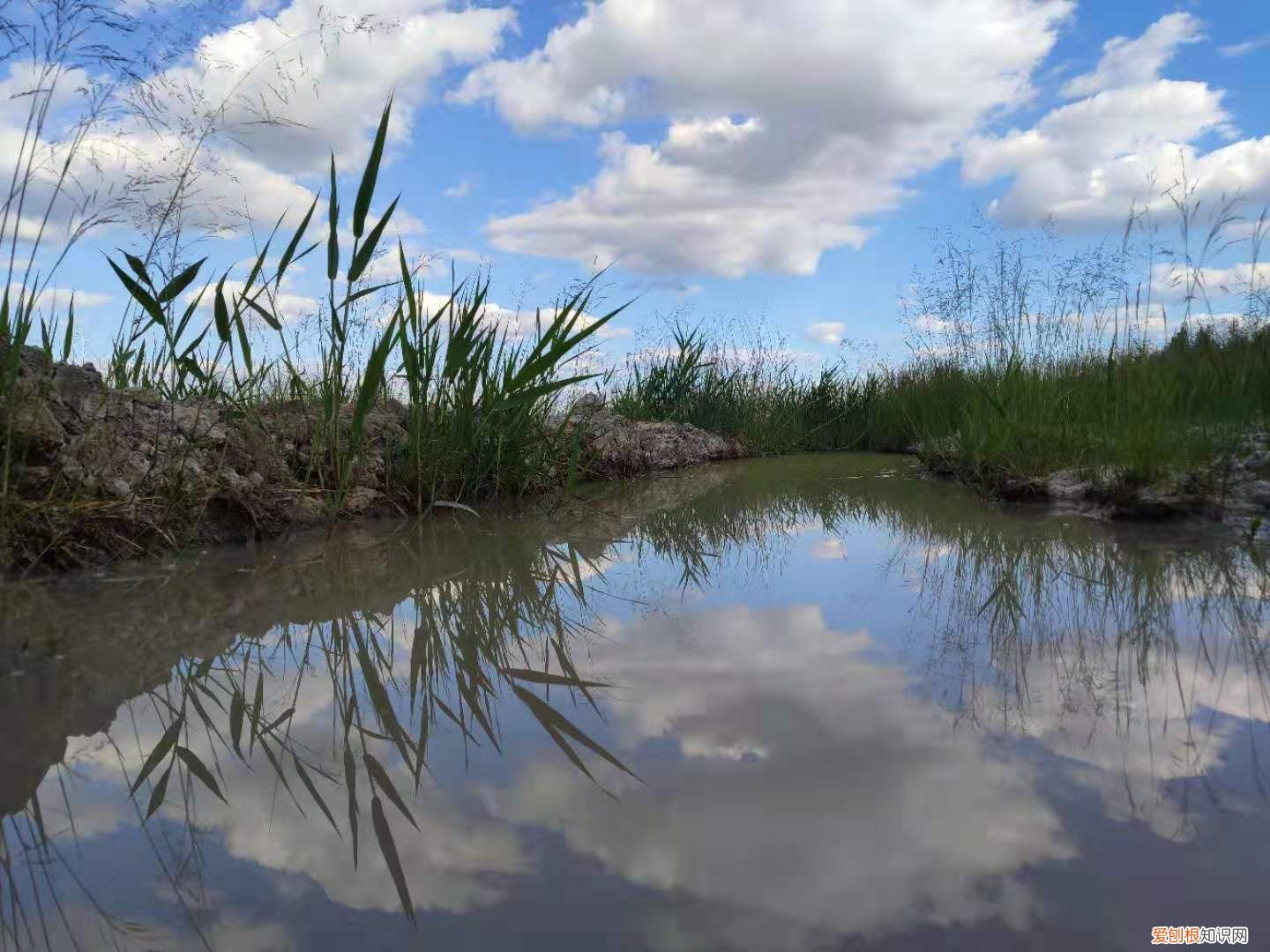 大庆旅游景点都有哪些 ？ 大庆景点
