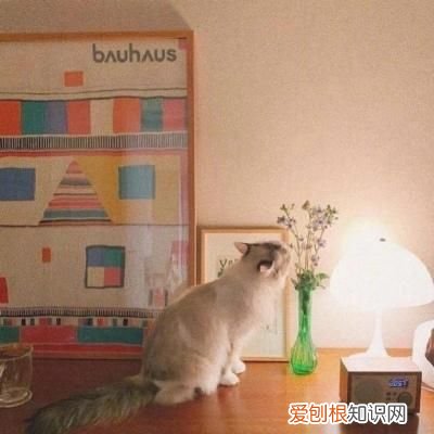 唯美好听的繁体字网名分享 繁体字游戏名