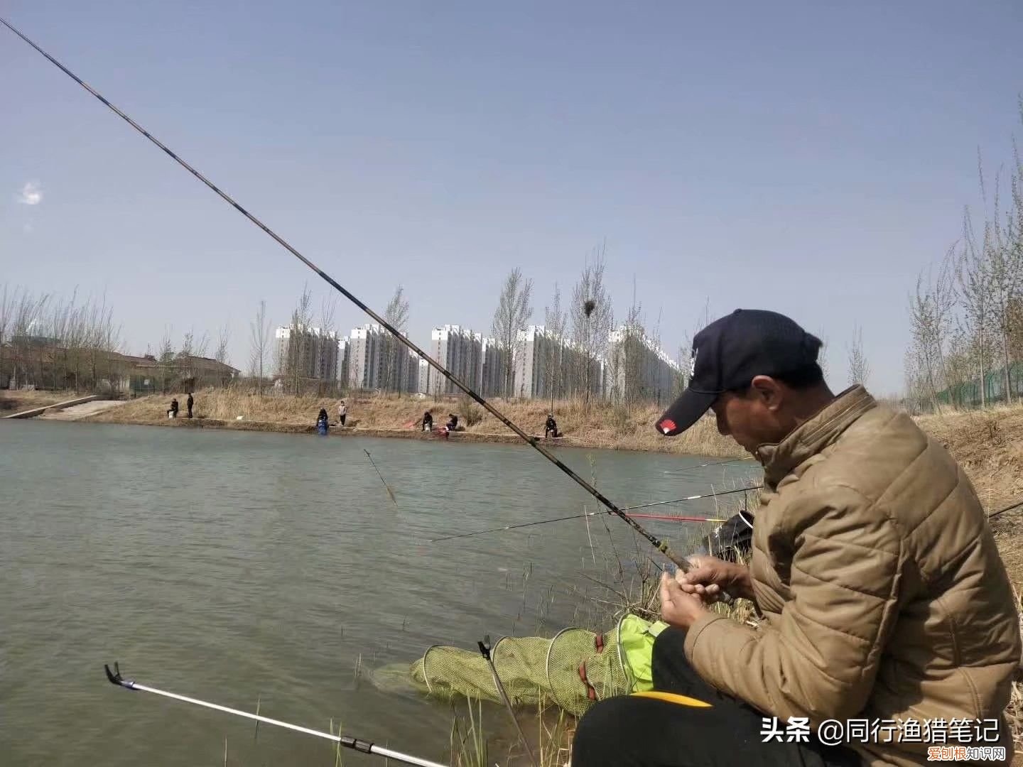 如何钓鲤鱼？五个技巧送给你 怎样钓鲤鱼?