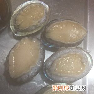 手把手教你巧洗鲍鱼呢 鲍鱼的清洗方法