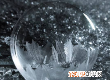 冬天水里加什么可以防冻