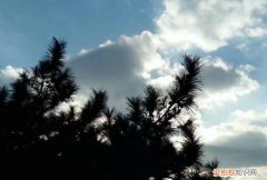 云舒的寓意是什么，淡看风云什么意思