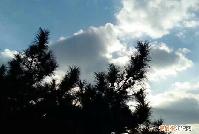 云舒的寓意是什么，淡看风云什么意思