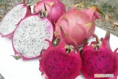 火龙果和红心火龙果的区别，红火龙果和白火龙果区别功效