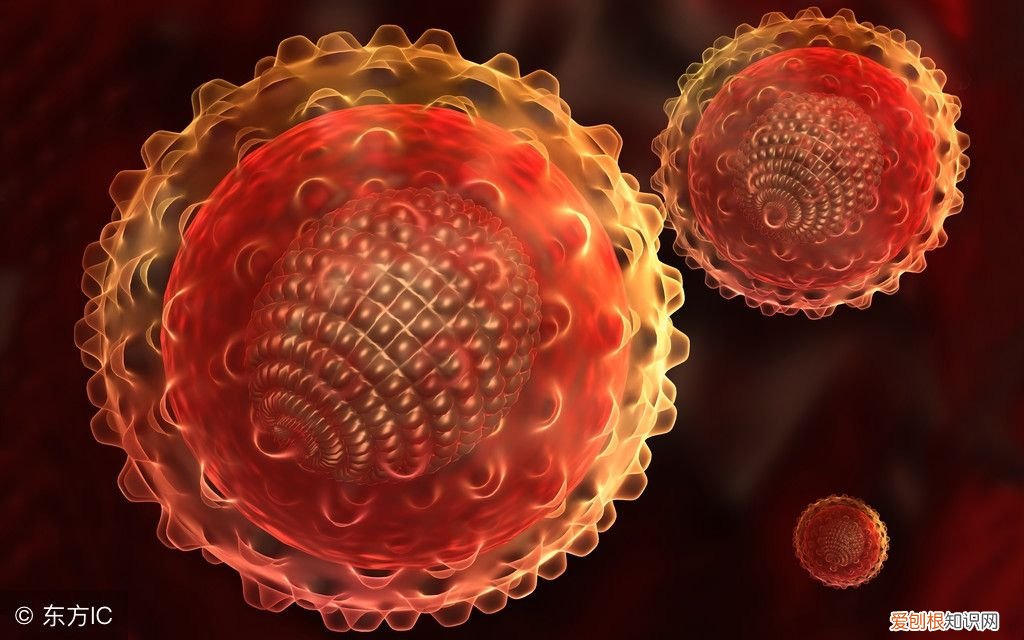 乙肝五项检查结果分析是怎样的？ 乙肝五项检查结果