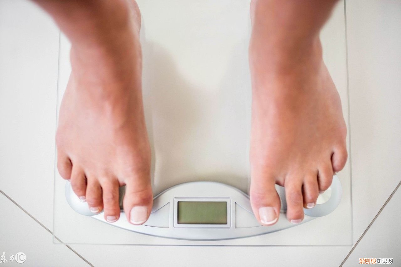 私人营养师可以如何帮你减肥？ 私人营养师！