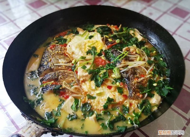 9道炖鱼的做法,鲜香美味, 炖鱼做法大全