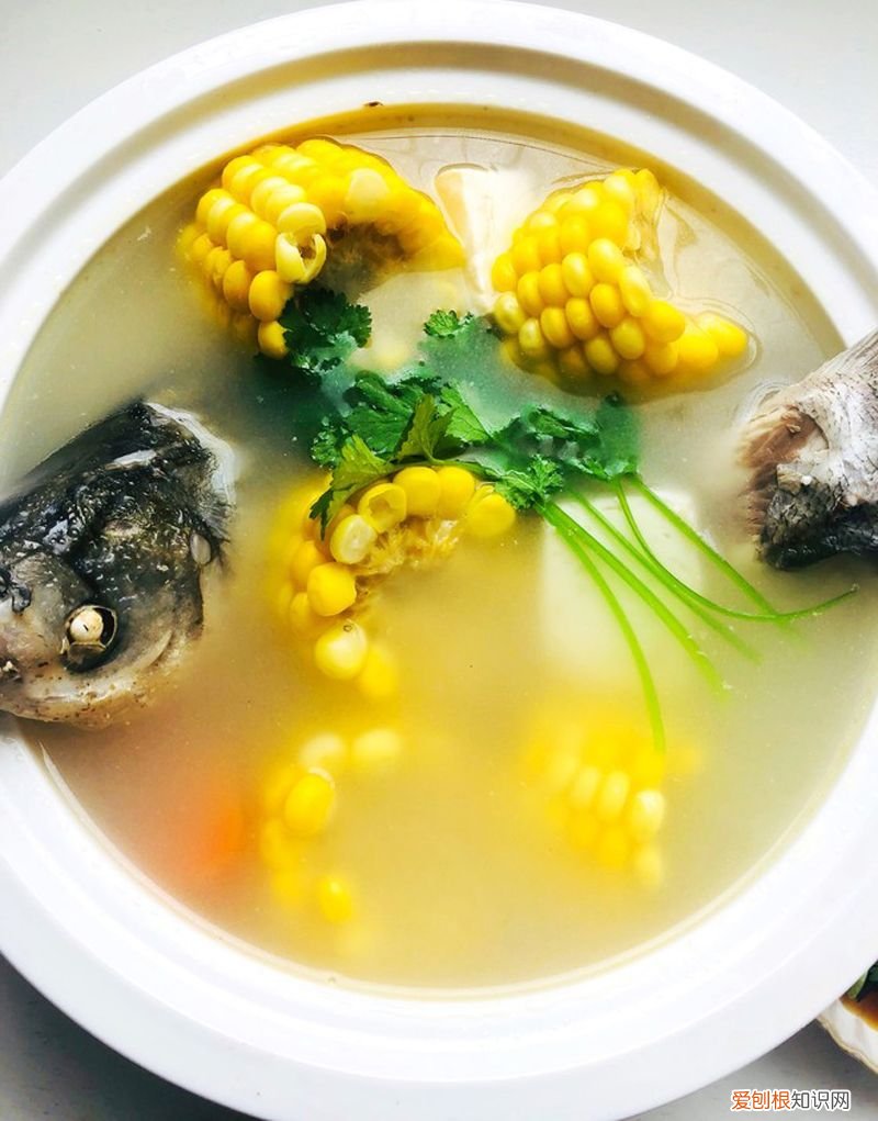 9道炖鱼的做法,鲜香美味, 炖鱼做法大全