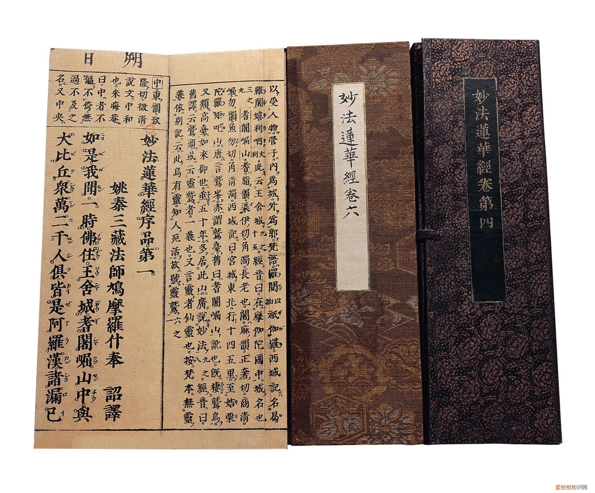 昙花是种什么花？为什么只有一现？ 昙花一现的现是什么意思