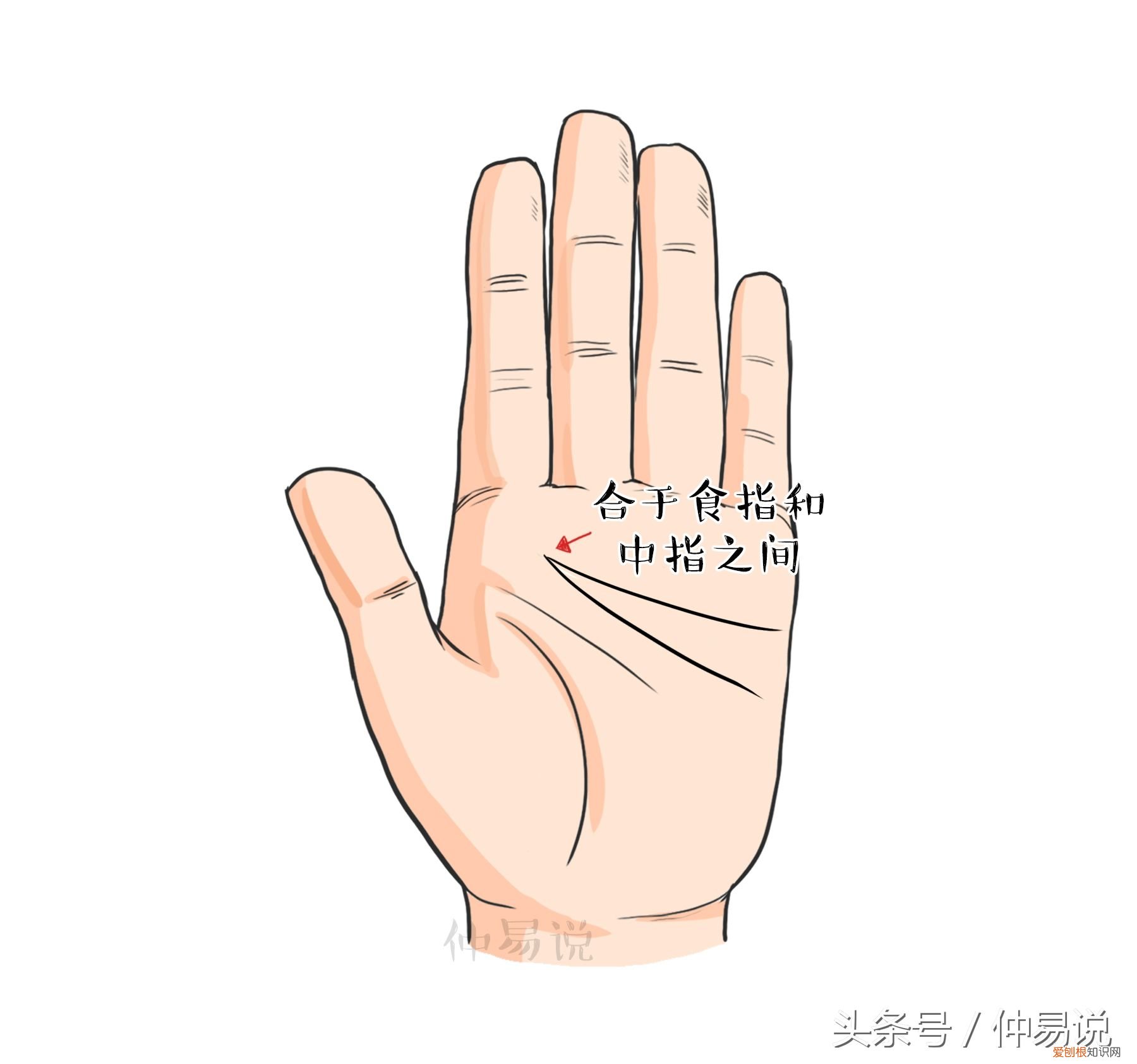 3种感情顺利,婚姻美满的手相 嫁得好的手相