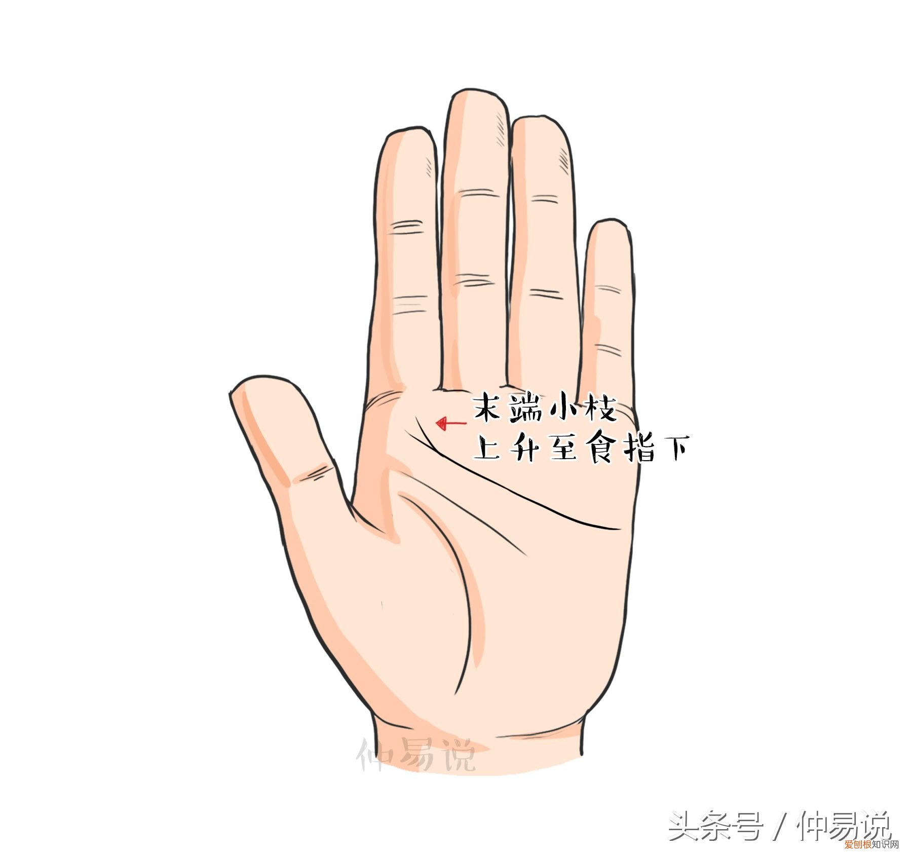 3种感情顺利,婚姻美满的手相 嫁得好的手相