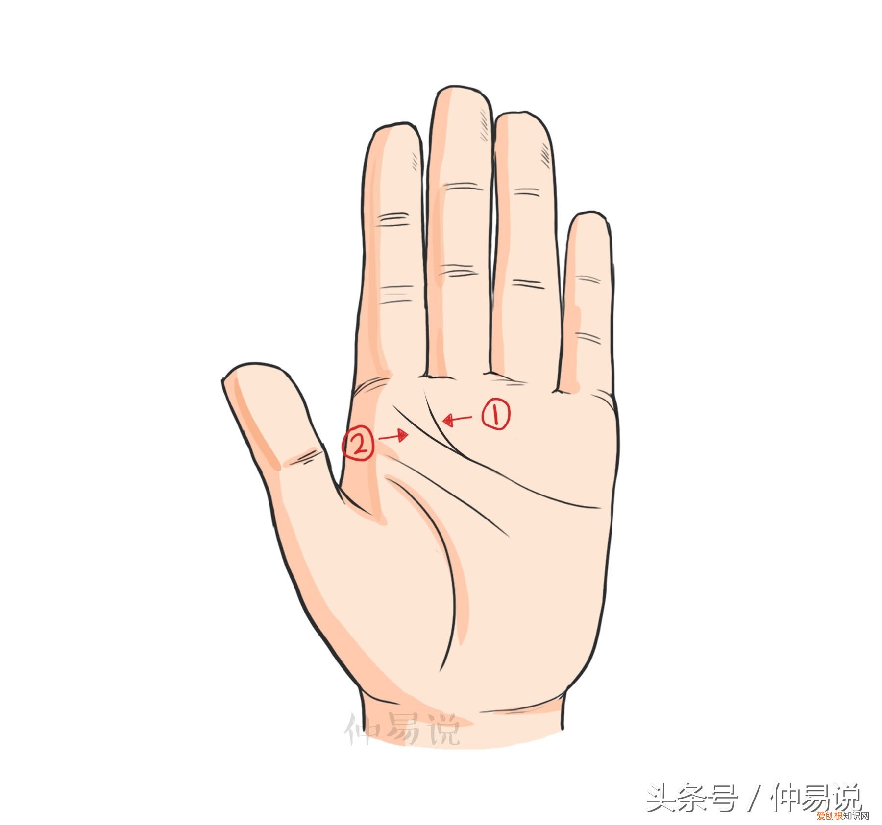 3种感情顺利,婚姻美满的手相 嫁得好的手相