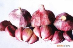 山西特产之朔州特产有哪些？ 朔州特产