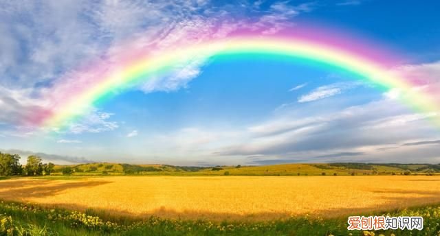 各种颜色代表什么意义,粉色代表什么意义和象征