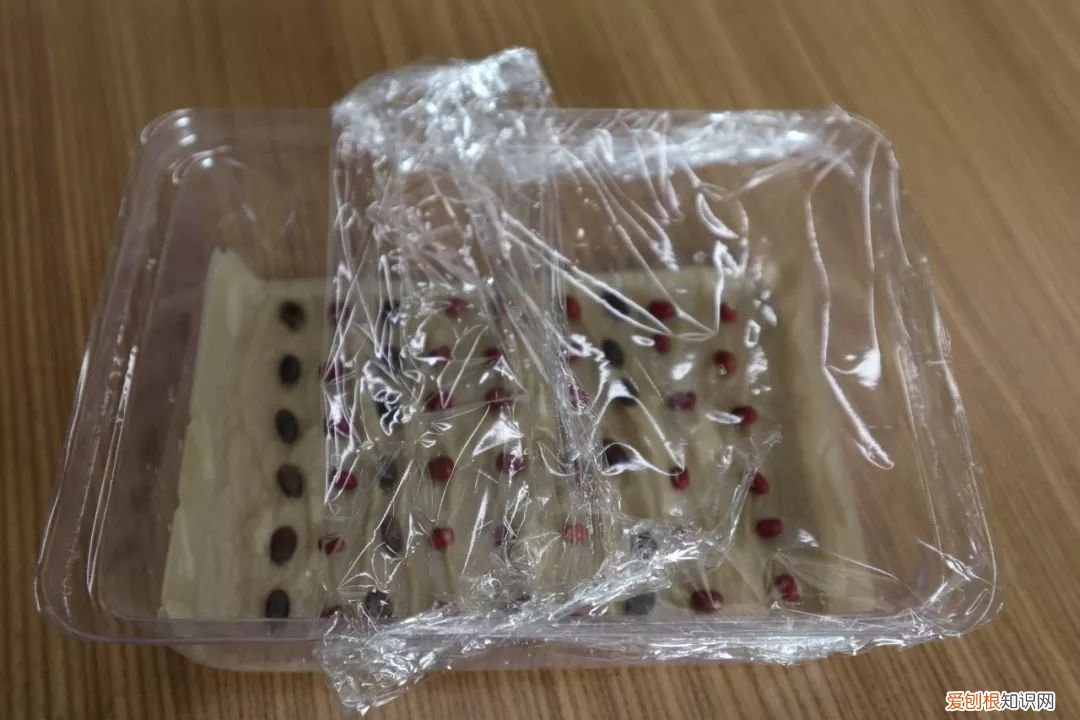 绿手指都在用的纸巾催芽法了解下啦 纸巾催芽法