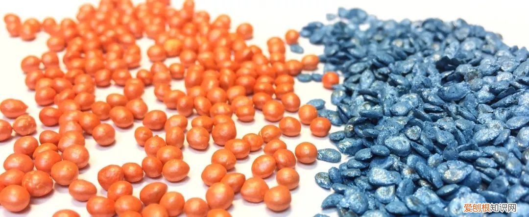 绿手指都在用的纸巾催芽法了解下啦 纸巾催芽法