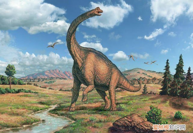 关于恐龙你可能不知道的事实 有关恐龙的资料