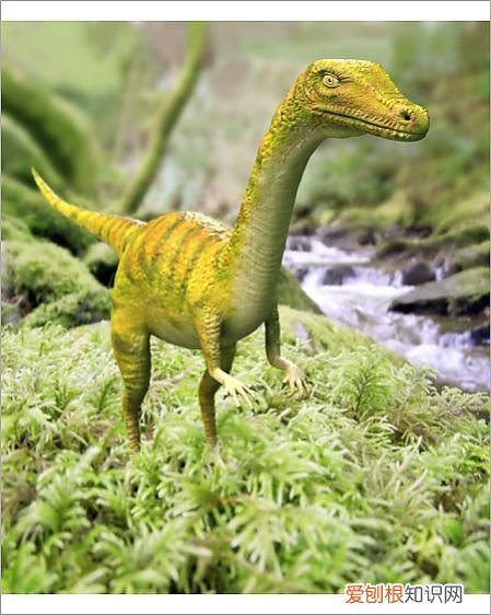 关于恐龙你可能不知道的事实 有关恐龙的资料