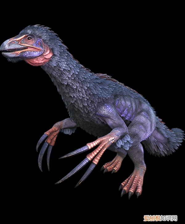 关于恐龙你可能不知道的事实 有关恐龙的资料