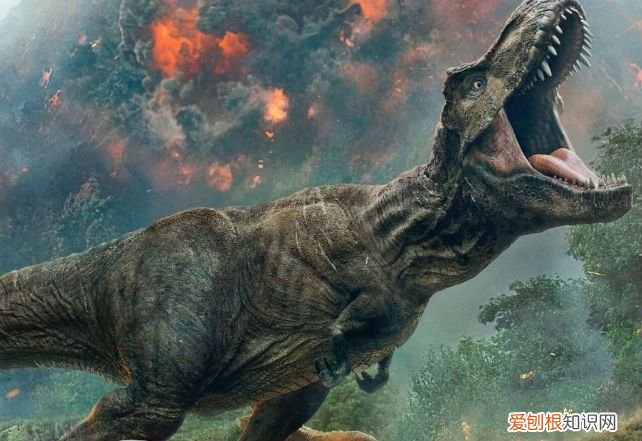 关于恐龙你可能不知道的事实 有关恐龙的资料