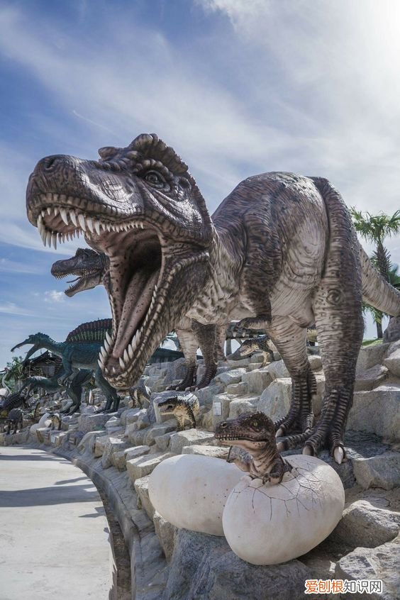 关于恐龙你可能不知道的事实 有关恐龙的资料