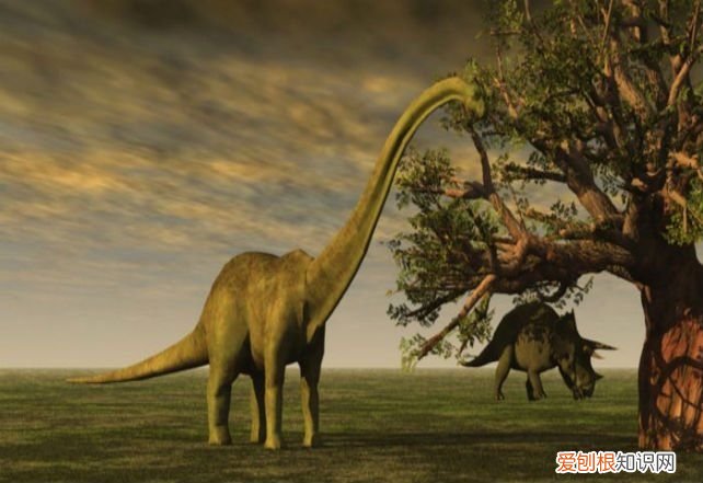 关于恐龙你可能不知道的事实 有关恐龙的资料