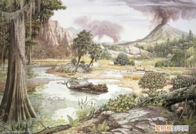 关于恐龙你可能不知道的事实 有关恐龙的资料