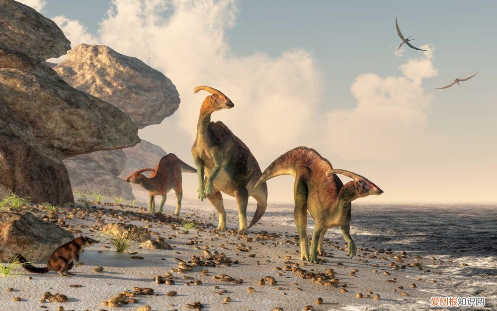 关于恐龙你可能不知道的事实 有关恐龙的资料