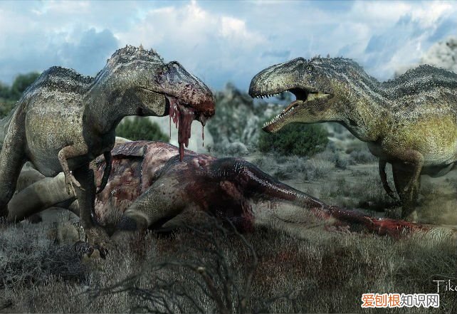 关于恐龙你可能不知道的事实 有关恐龙的资料
