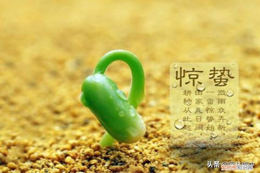 什么是惊蛰？ 惊蜇是什么意思