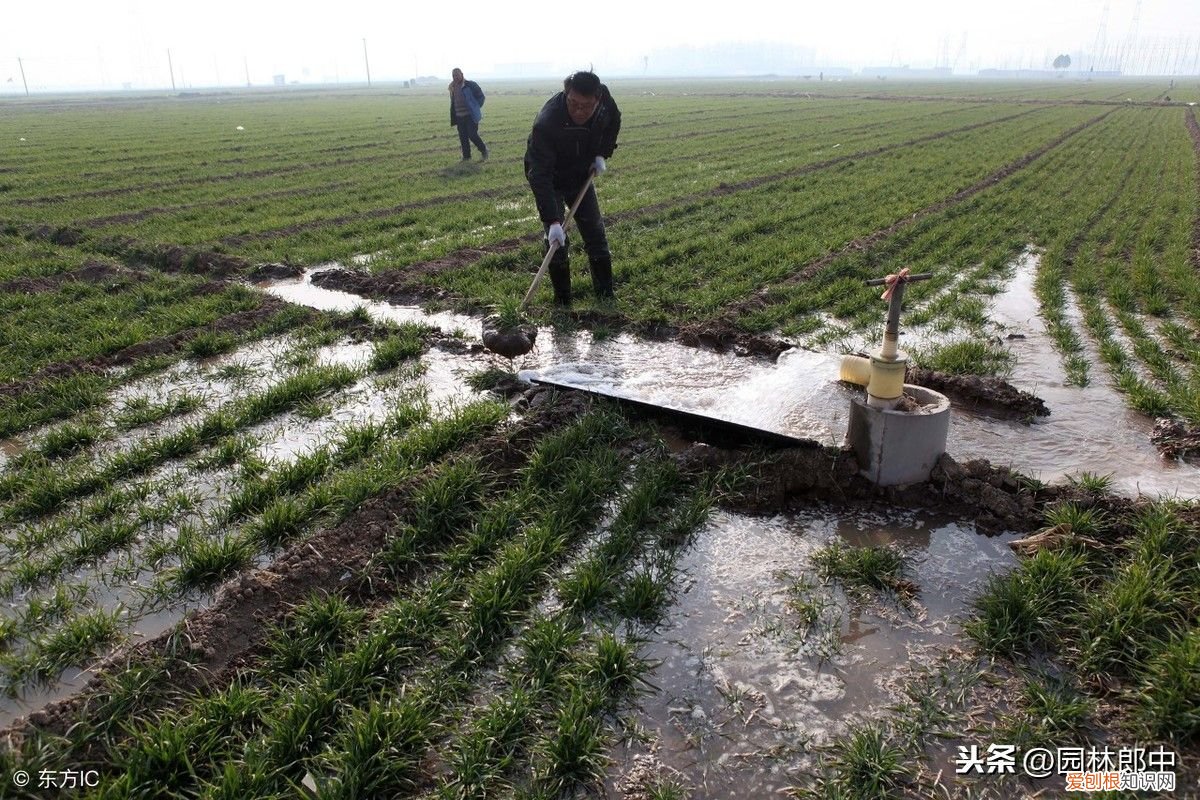 什么是惊蛰？ 惊蜇是什么意思