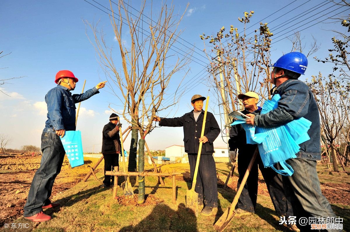 什么是惊蛰？ 惊蜇是什么意思