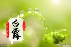 七绝《己亥白露节令寄怀》十二首 白露七言绝句