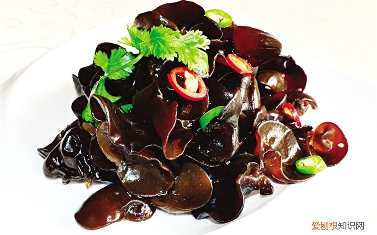 含铁量较高的几种食物 哪些食物含铁高