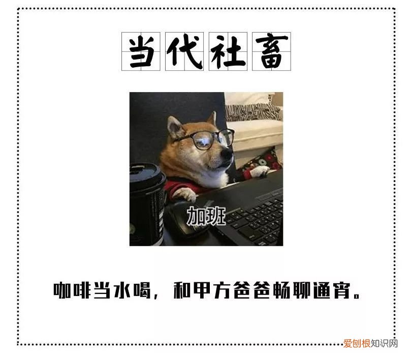 9款超好用的眼霜 什么眼霜最好用