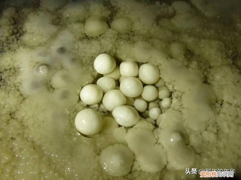 中国最长的洞穴 中国第一长洞