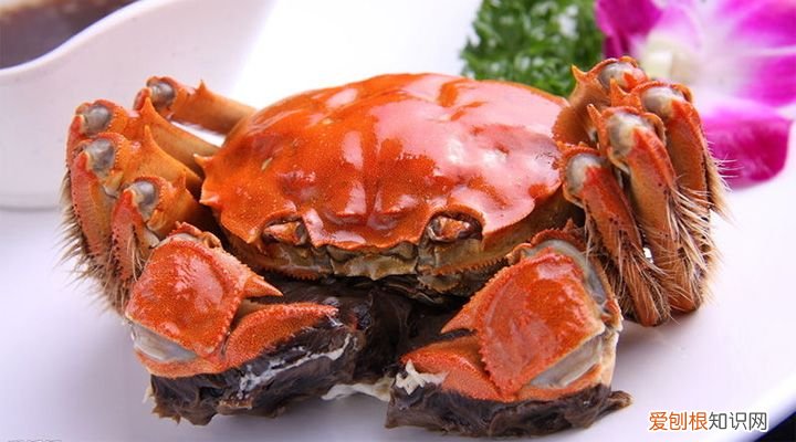大闸蟹怎样保鲜 大闸蟹如何保存